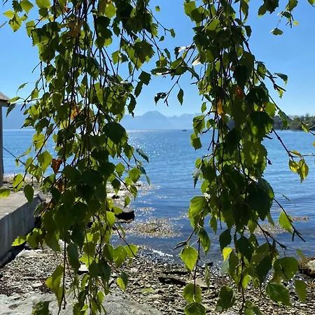 Close To The In Idyllic Surroundings *